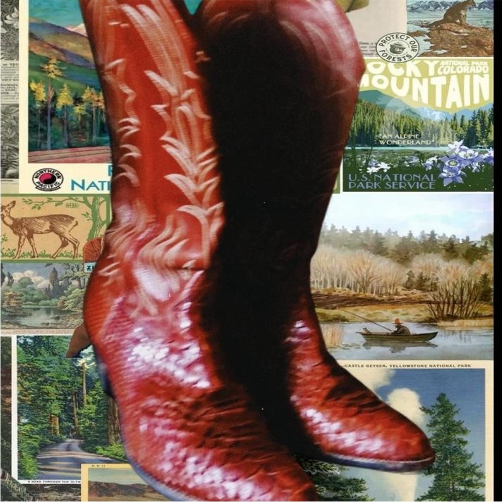 Dan Post Boots - image 2